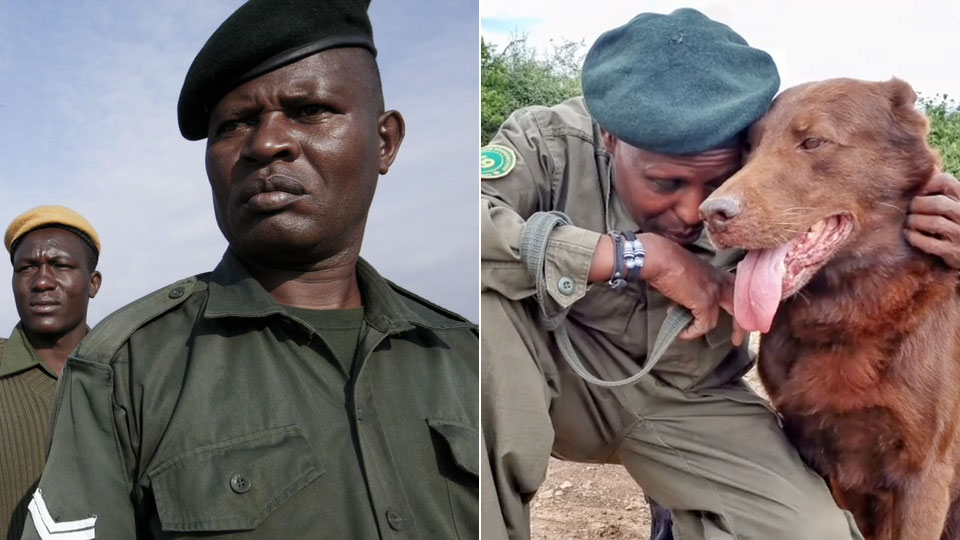 rangers of the year