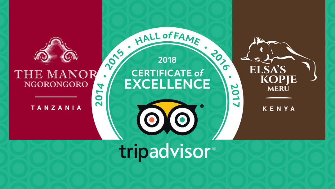 tripadvisor-hall-of-fame