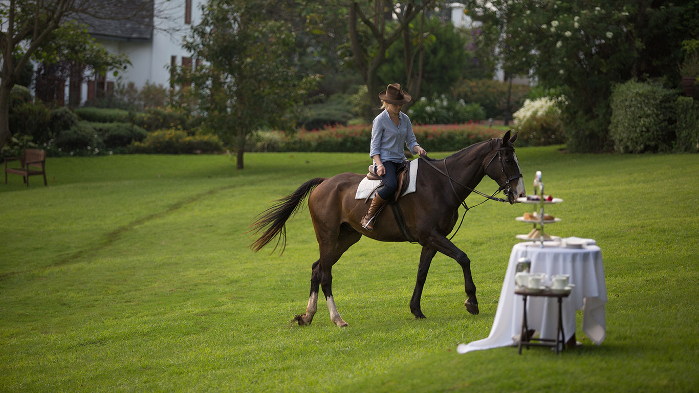 Horse Riding at The Manor