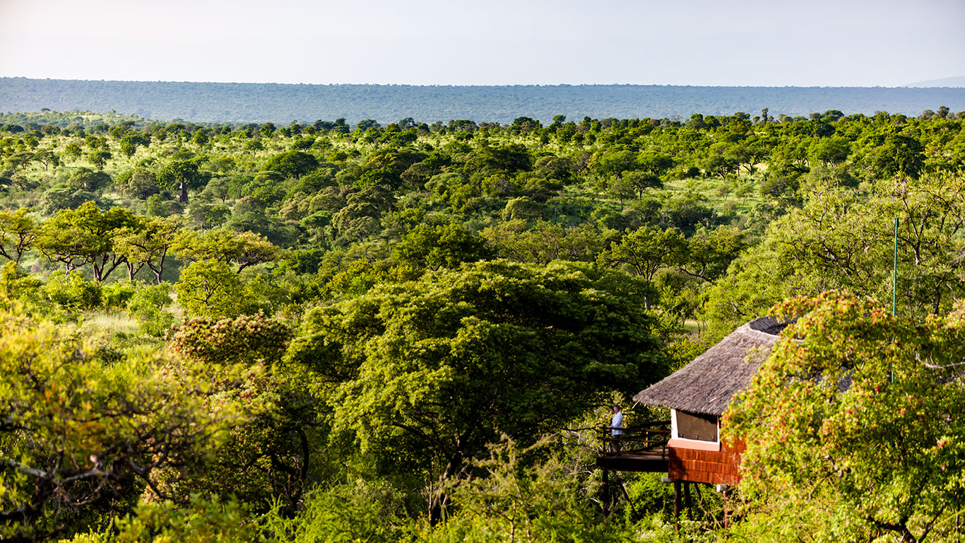 Tarangire Treetops view of Treehouse